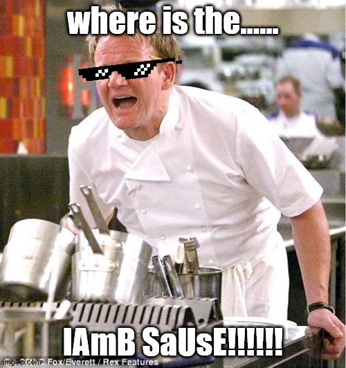 cHeF RaMsEy | where is the...... lAmB SaUsE!!!!!! | image tagged in memes,chef gordon ramsay | made w/ Imgflip meme maker