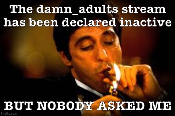 I wasn’t privy to any peace talks. I’ll respect the stream owner’s vision but the war against me isn’t over and neither is mine | The damn_adults stream has been declared inactive; BUT NOBODY ASKED ME | image tagged in al pacino cigar,war,peace,damn,adults,meme stream | made w/ Imgflip meme maker