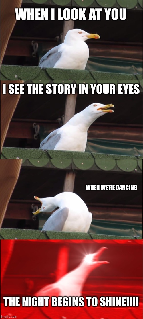 For all the TTG fans out there | WHEN I LOOK AT YOU; I SEE THE STORY IN YOUR EYES; WHEN WE’RE DANCING; THE NIGHT BEGINS TO SHINE!!!! | image tagged in memes,inhaling seagull | made w/ Imgflip meme maker