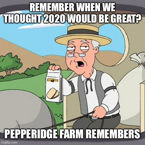 Pepperidge Farm Remembers Meme | REMEMBER WHEN WE THOUGHT 2020 WOULD BE GREAT? PEPPERIDGE FARM REMEMBERS | image tagged in memes,pepperidge farm remembers,2020 | made w/ Imgflip meme maker