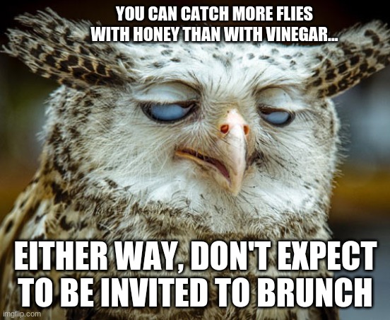Twisted Proverbs No. 1 |  YOU CAN CATCH MORE FLIES WITH HONEY THAN WITH VINEGAR... EITHER WAY, DON'T EXPECT TO BE INVITED TO BRUNCH | image tagged in twisted proverbs | made w/ Imgflip meme maker