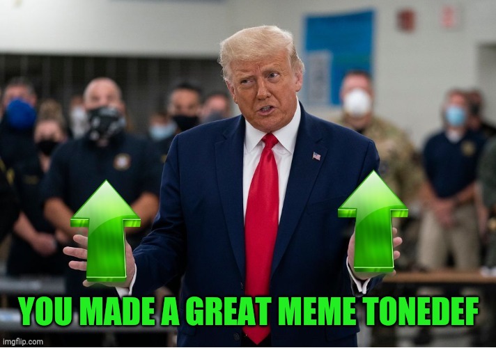 Trump Upvote | YOU MADE A GREAT MEME TONEDEF | image tagged in trump upvote | made w/ Imgflip meme maker