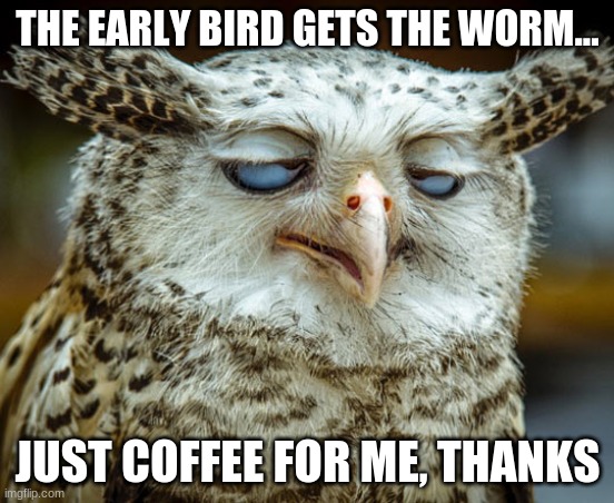 Twisted Proverbs No. 3 |  THE EARLY BIRD GETS THE WORM... JUST COFFEE FOR ME, THANKS | image tagged in twisted proverbs | made w/ Imgflip meme maker