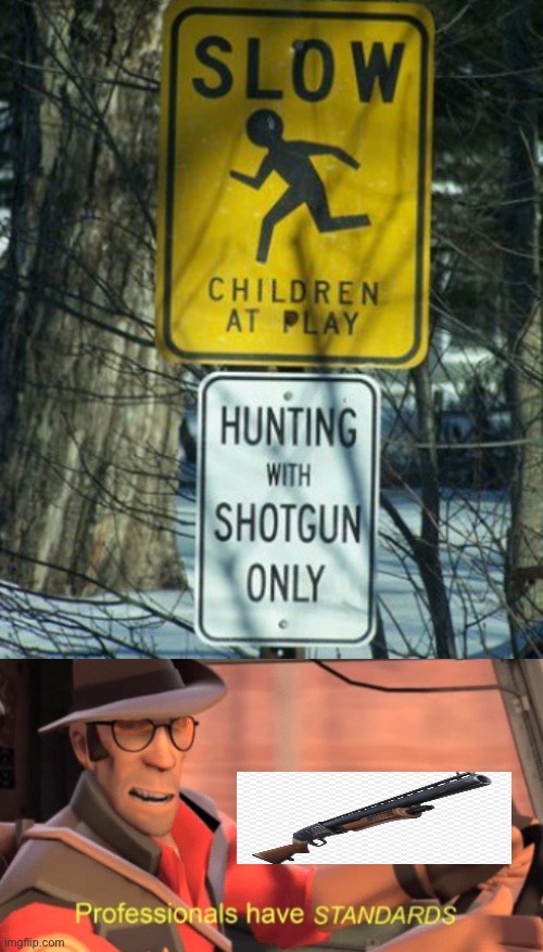 Shotgun only | image tagged in professionals have standards | made w/ Imgflip meme maker