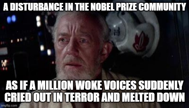 Another POTUS nominated for a Nobel Peace Prize | A DISTURBANCE IN THE NOBEL PRIZE COMMUNITY; AS IF A MILLION WOKE VOICES SUDDENLY CRIED OUT IN TERROR AND MELTED DOWN | image tagged in disturbance in the force | made w/ Imgflip meme maker