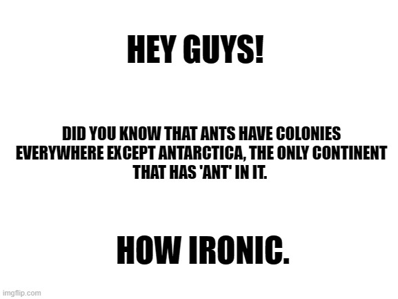 was it too long? | HEY GUYS! DID YOU KNOW THAT ANTS HAVE COLONIES
EVERYWHERE EXCEPT ANTARCTICA, THE ONLY CONTINENT
THAT HAS 'ANT' IN IT. HOW IRONIC. | image tagged in blank white template,nerd,geek | made w/ Imgflip meme maker