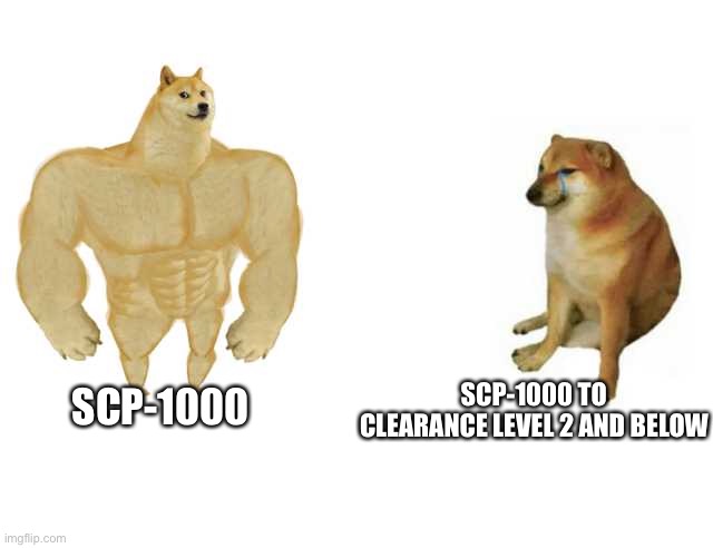 Buff Doge vs. Cheems Meme | SCP-1000 TO CLEARANCE LEVEL 2 AND BELOW; SCP-1000 | image tagged in strong doge weak doge | made w/ Imgflip meme maker