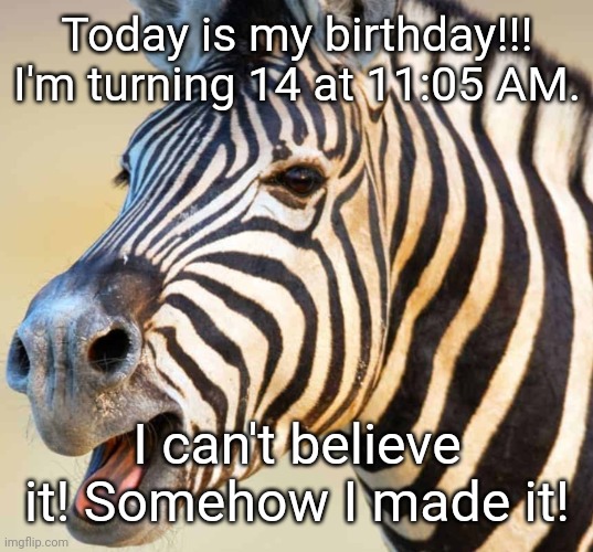 YAYAYAYAYAYAYAYAYAY!!! | Today is my birthday!!! I'm turning 14 at 11:05 AM. I can't believe it! Somehow I made it! | image tagged in happy zebra | made w/ Imgflip meme maker