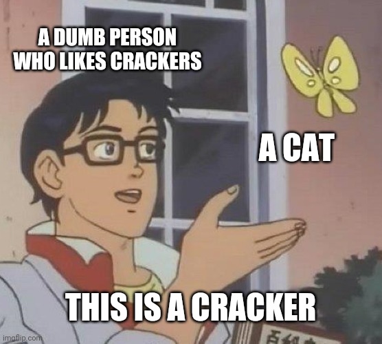 Is This A Pigeon | A DUMB PERSON WHO LIKES CRACKERS; A CAT; THIS IS A CRACKER | image tagged in memes,is this a pigeon | made w/ Imgflip meme maker