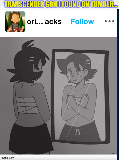 I support this theory, and credit goes to the of artist | TRANSGENDER GOH I FOUND ON TUMBLR... | image tagged in transgender,pokemon go | made w/ Imgflip meme maker