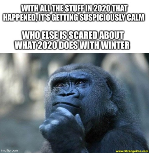 Good luck. | image tagged in deep thoughts,2020,winter | made w/ Imgflip meme maker