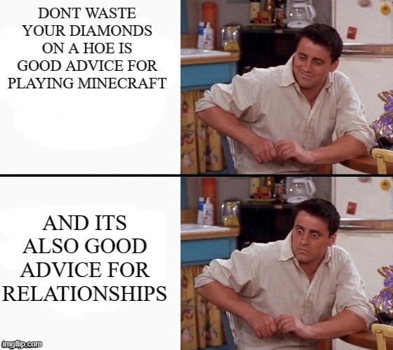 Comprehending Joey | DONT WASTE YOUR DIAMONDS ON A HOE IS GOOD ADVICE FOR PLAYING MINECRAFT; AND ITS ALSO GOOD ADVICE FOR RELATIONSHIPS | image tagged in comprehending joey | made w/ Imgflip meme maker