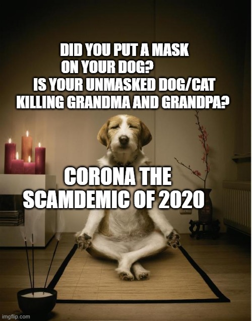 dog meditation funny | DID YOU PUT A MASK ON YOUR DOG?             IS YOUR UNMASKED DOG/CAT KILLING GRANDMA AND GRANDPA? CORONA THE SCAMDEMIC OF 2020 | image tagged in dog meditation funny | made w/ Imgflip meme maker