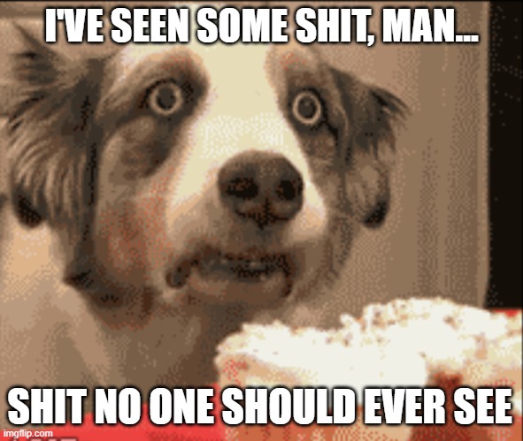 PTSD dog | I'VE SEEN SOME SHIT, MAN... SHIT NO ONE SHOULD EVER SEE | image tagged in ptsd dog | made w/ Imgflip meme maker