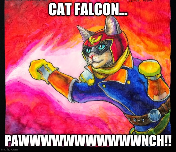 CAT FALCON... PAWWWWWWWWWWWNCH!! | made w/ Imgflip meme maker