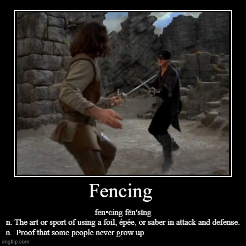 Fencing | image tagged in funny,demotivationals,fencing | made w/ Imgflip demotivational maker