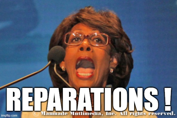 Maxine waters | REPARATIONS ! | image tagged in maxine waters | made w/ Imgflip meme maker