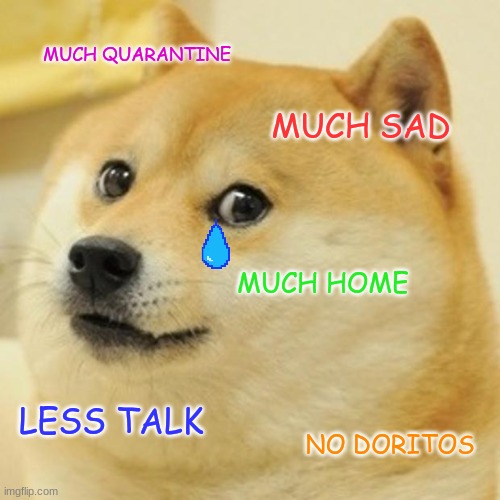 SAD DOGE | MUCH QUARANTINE; MUCH SAD; MUCH HOME; LESS TALK; NO DORITOS | image tagged in memes,doge | made w/ Imgflip meme maker
