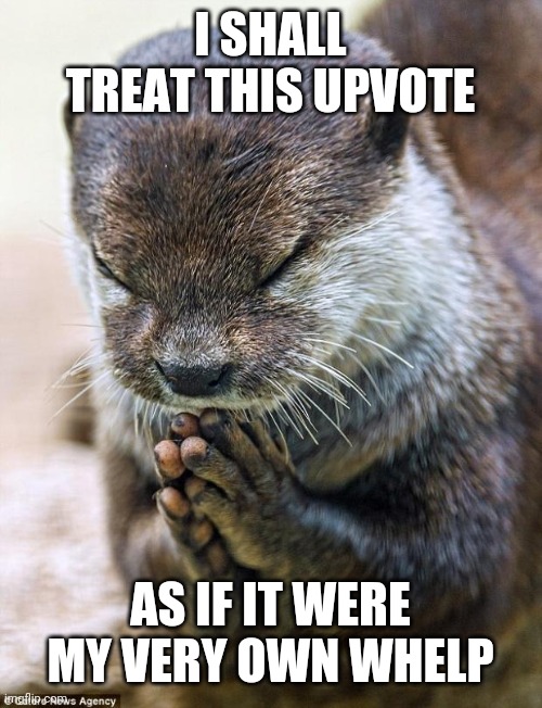 Thank you Lord Otter | I SHALL TREAT THIS UPVOTE AS IF IT WERE MY VERY OWN WHELP | image tagged in thank you lord otter | made w/ Imgflip meme maker