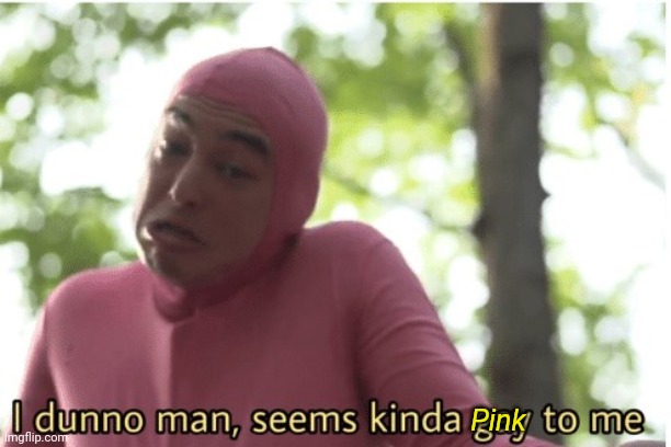 I dunno man seems kinda gay to me | Pink | image tagged in i dunno man seems kinda gay to me | made w/ Imgflip meme maker