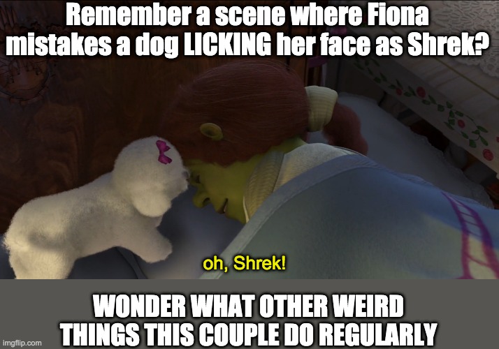 Remember a scene where Fiona mistakes a dog LICKING her face as Shrek? oh, Shrek! WONDER WHAT OTHER WEIRD THINGS THIS COUPLE DO REGULARLY | image tagged in shrek | made w/ Imgflip meme maker