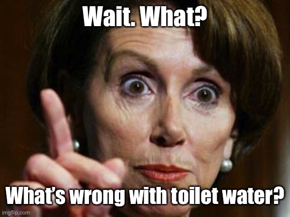 Nancy Pelosi No Spending Problem | Wait. What? What’s wrong with toilet water? | image tagged in nancy pelosi no spending problem | made w/ Imgflip meme maker