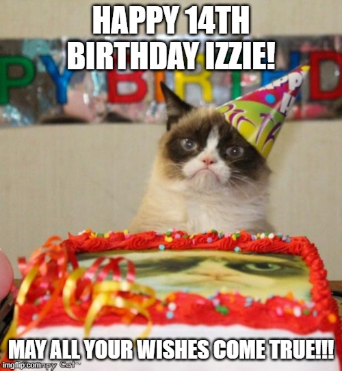 HAPPY 14TH IZZIE!!!???????✨????? | HAPPY 14TH BIRTHDAY IZZIE! MAY ALL YOUR WISHES COME TRUE!!! | image tagged in memes,grumpy cat,happy birthday,congrats,love you | made w/ Imgflip meme maker