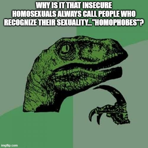 Philosoraptor Meme | WHY IS IT THAT INSECURE HOMOSEXUALS ALWAYS CALL PEOPLE WHO RECOGNIZE THEIR SEXUALITY..."HOMOPHOBES"? | image tagged in memes,philosoraptor | made w/ Imgflip meme maker