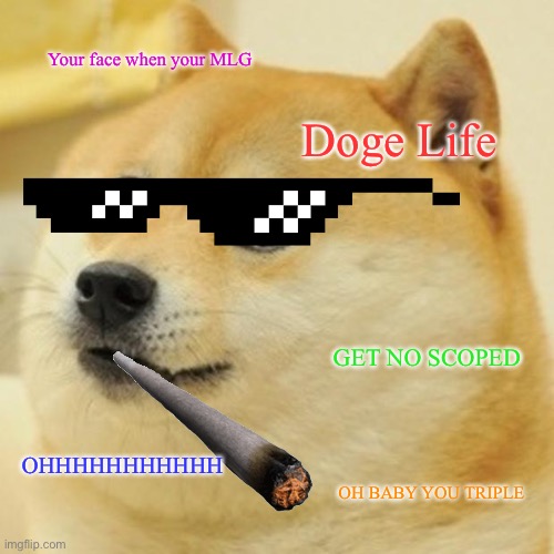Doge Meme | Your face when your MLG; Doge Life; GET NO SCOPED; OHHHHHHHHHHH; OH BABY YOU TRIPLE | image tagged in memes,doge | made w/ Imgflip meme maker