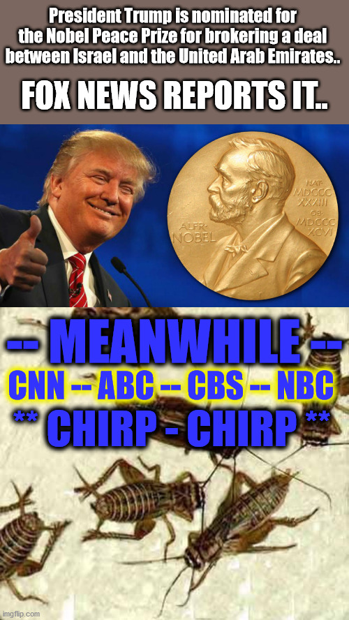 The CRICKETS of the MSM -- Won't report anything positive about TRUMP | President Trump is nominated for the Nobel Peace Prize for brokering a deal between Israel and the United Arab Emirates.. FOX NEWS REPORTS IT.. -- MEANWHILE --; CNN -- ABC -- CBS -- NBC; ** CHIRP - CHIRP ** | image tagged in crickets,trump nobel prize,donald trump,msm | made w/ Imgflip meme maker