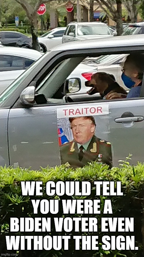 Her dog must be humiliated. | WE COULD TELL YOU WERE A BIDEN VOTER EVEN WITHOUT THE SIGN. | image tagged in tds,biden voter,face mask,memes | made w/ Imgflip meme maker