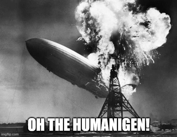 Hindenburg | OH THE HUMANIGEN! | image tagged in hindenburg | made w/ Imgflip meme maker