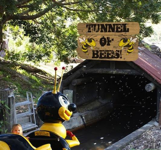 High Quality tunnel of bees Blank Meme Template