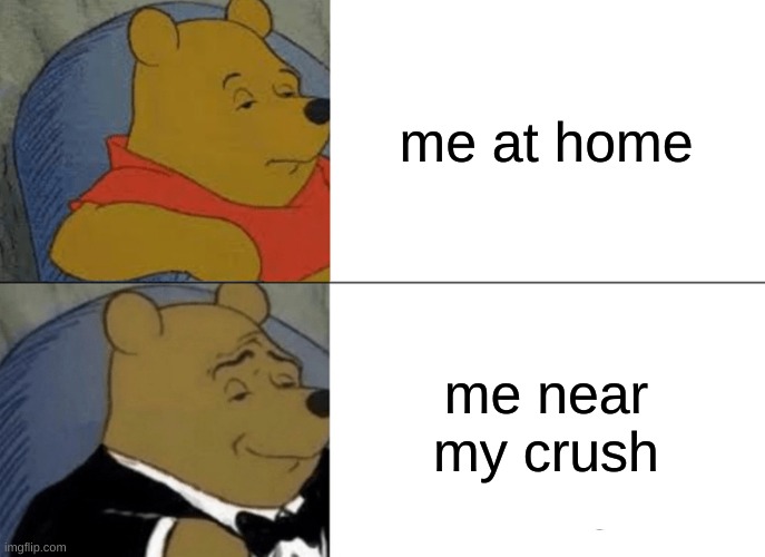 Tuxedo Winnie The Pooh Meme | me at home; me near my crush | image tagged in memes,tuxedo winnie the pooh | made w/ Imgflip meme maker