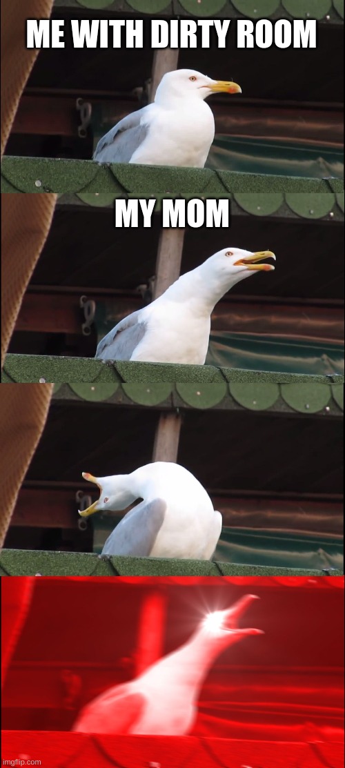 Inhaling Seagull | ME WITH DIRTY ROOM; MY MOM | image tagged in memes,inhaling seagull | made w/ Imgflip meme maker