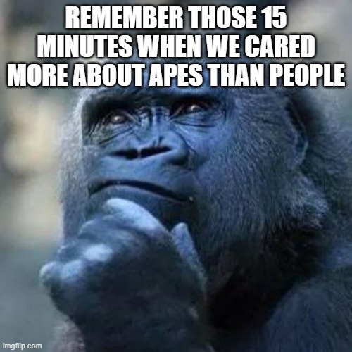 Thinking ape | REMEMBER THOSE 15 MINUTES WHEN WE CARED MORE ABOUT APES THAN PEOPLE | image tagged in thinking ape | made w/ Imgflip meme maker