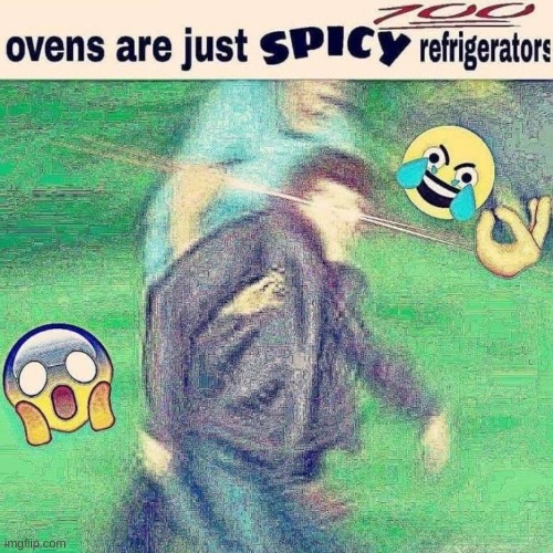 SpIcY ReFrIgErAtOrS | image tagged in spicy,refrigerator,emoji epic,reeeeeeeeeeeeeeee | made w/ Imgflip meme maker