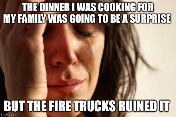 Turtle | THE DINNER I WAS COOKING FOR MY FAMILY WAS GOING TO BE A SURPRISE; BUT THE FIRE TRUCKS RUINED IT | image tagged in memes,first world problems | made w/ Imgflip meme maker