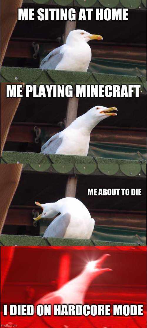 reeeeeeeee | ME SITING AT HOME; ME PLAYING MINECRAFT; ME ABOUT TO DIE; I DIED ON HARDCORE MODE | image tagged in memes,inhaling seagull | made w/ Imgflip meme maker