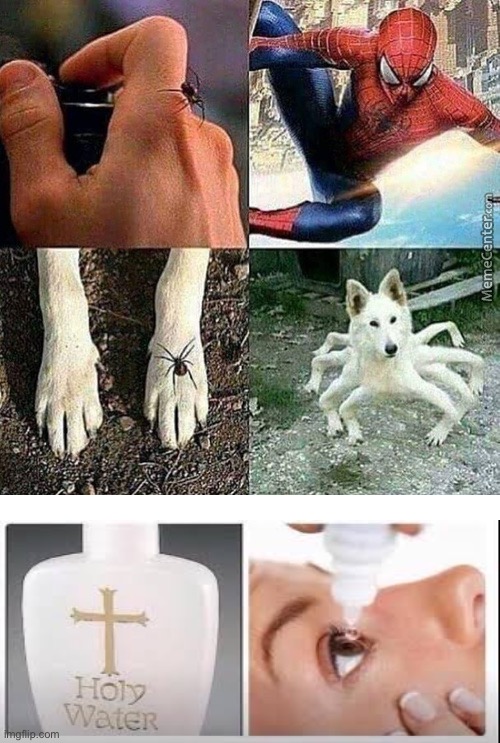 My eyes hurt so bad right now. | image tagged in spiderman,doggo,holy water,memes | made w/ Imgflip meme maker