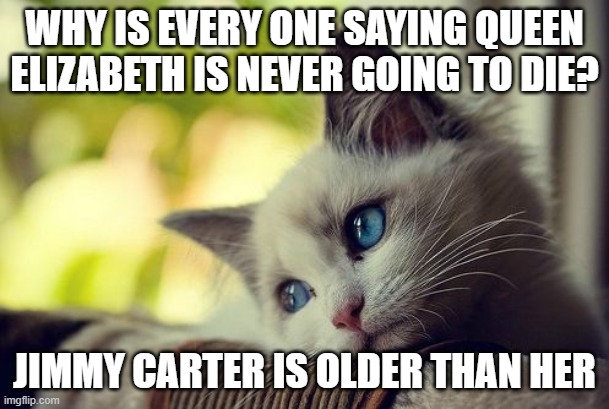 First World Problems Cat | WHY IS EVERY ONE SAYING QUEEN ELIZABETH IS NEVER GOING TO DIE? JIMMY CARTER IS OLDER THAN HER | image tagged in memes,first world problems cat | made w/ Imgflip meme maker