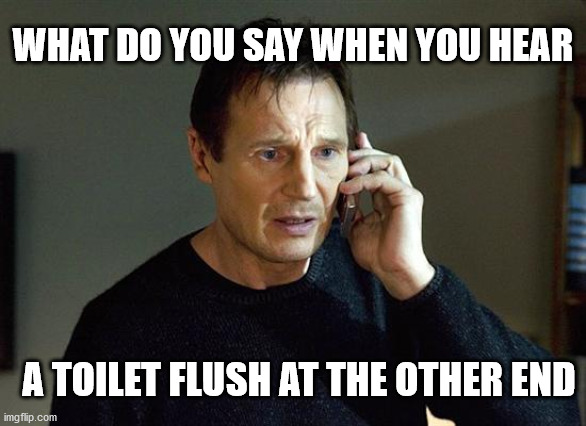 Liam Neeson Taken 2 Meme | WHAT DO YOU SAY WHEN YOU HEAR; A TOILET FLUSH AT THE OTHER END | image tagged in memes,liam neeson taken 2 | made w/ Imgflip meme maker