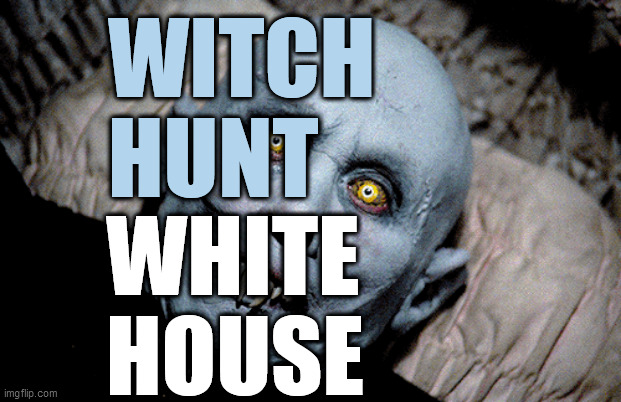 Too Old? | WITCH
HUNT; WHITE
HOUSE | image tagged in mr barlow salem's lot,witch hunt,white house,zozo,looks like 2020,stale meme | made w/ Imgflip meme maker
