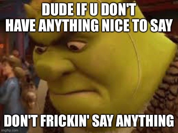 Mad boi | DUDE IF U DON'T HAVE ANYTHING NICE TO SAY DON'T FRICKIN' SAY ANYTHING | image tagged in mad boi | made w/ Imgflip meme maker