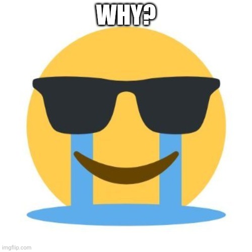 Crying and smiling | WHY? | image tagged in crying and smiling | made w/ Imgflip meme maker