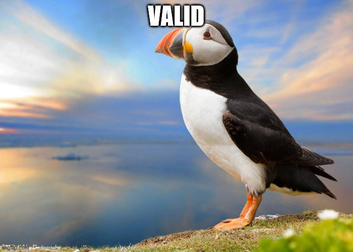 Valid opinion puffin | VALID | image tagged in valid opinion puffin | made w/ Imgflip meme maker
