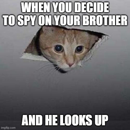 Ceiling Cat | WHEN YOU DECIDE TO SPY ON YOUR BROTHER; AND HE LOOKS UP | image tagged in memes,ceiling cat | made w/ Imgflip meme maker