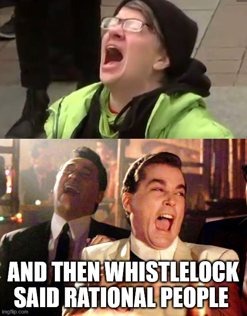 AND THEN WHISTLELOCK SAID RATIONAL PEOPLE | image tagged in memes,good fellas hilarious,screaming liberal | made w/ Imgflip meme maker