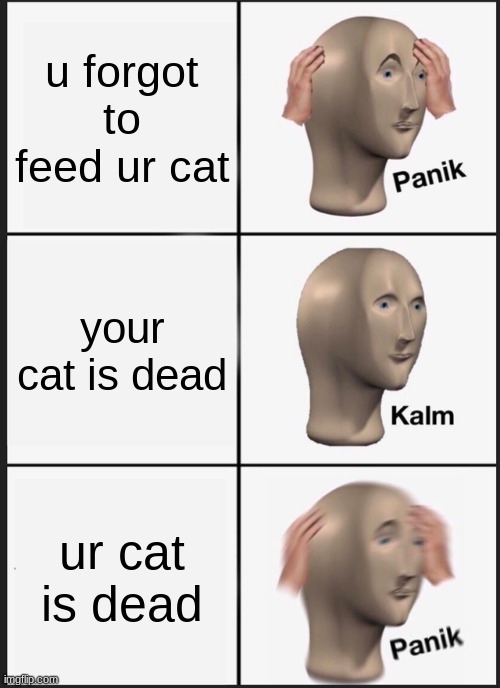 Panik Kalm Panik Meme | u forgot to feed ur cat; your cat is dead; ur cat is dead | image tagged in memes,panik kalm panik | made w/ Imgflip meme maker