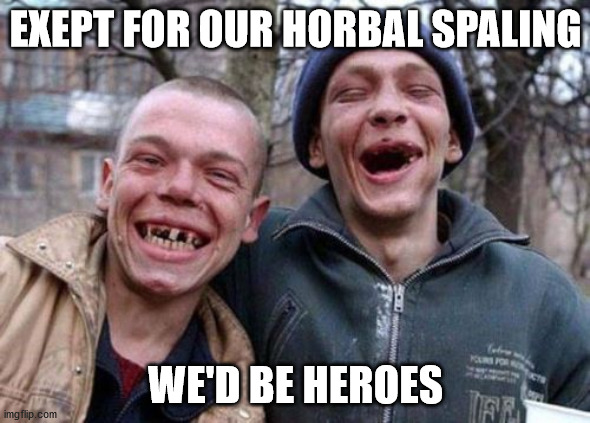 Ugly Twins | EXEPT FOR OUR HORBAL SPALING; WE'D BE HEROES | image tagged in memes,ugly twins | made w/ Imgflip meme maker